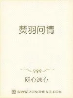 《焚羽问情》封面