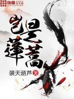 《岂是蓬蒿》封面