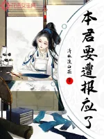 《本君要遭报应了》封面
