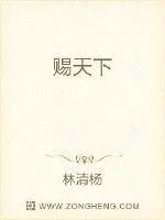 《赐天下》封面