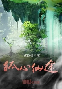 《狐心仙途》小说封面