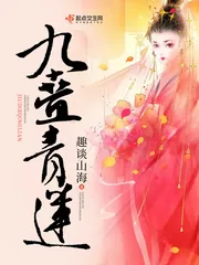 《九叠青莲》封面
