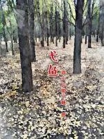 《弋鱼》封面