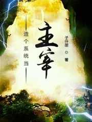 《造个系统当主宰》封面