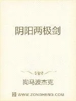《阴阳两极剑》封面