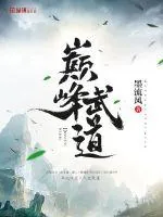 《巅峰武道》封面