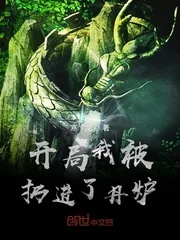 《开局我被扔进了丹炉》封面