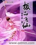 《极品飞仙》封面