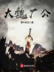 《大魏厂公》封面