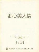 《卿心美人情》封面