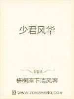 《少君风华》封面
