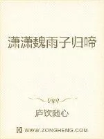 《潇潇魏雨子归啼》封面