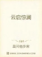 《云启惊澜》封面