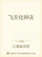 《飞天化神诀》小说封面