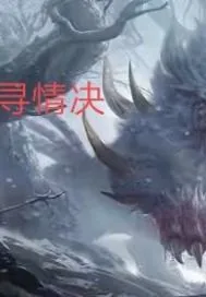 《寻情决》封面