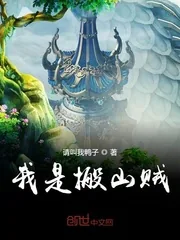 《我是搬山贼》封面