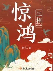 《惊鸿三相》封面