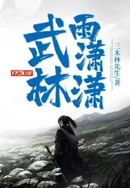 《武林雨潇潇》封面