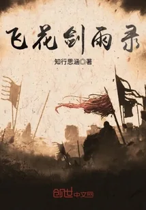 《飞花剑雨录》封面