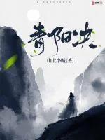 《青阳决》封面