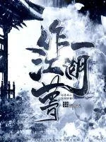 《一作江湖梦》小说封面