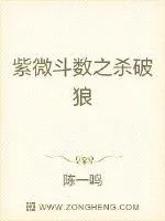 《紫微斗数之杀破狼》封面