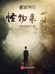《武侠之怪物来了》封面