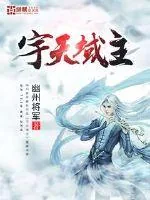 《宇天域主》封面