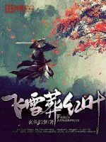 《飞雪葬红叶》封面