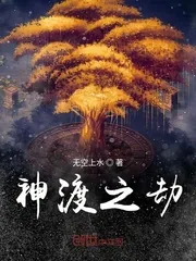 《神渡之劫》封面
