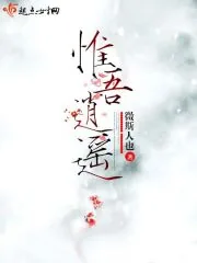 《惟吾逍遥》封面