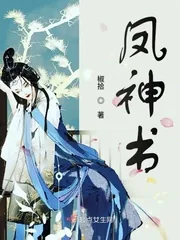 《凤神书》封面