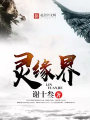 《灵缘界》小说封面