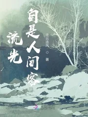 《流光自是人间客》封面