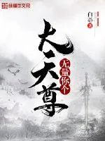 《无量你个大天尊》封面