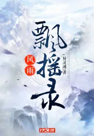 《风雨飘摇录》封面