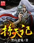 《掠天记》封面