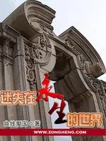 《迷失在《永生》的世界》小说封面