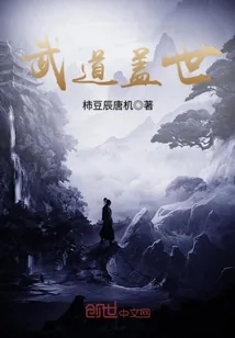 《武道盖世》封面