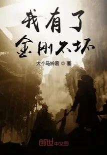 《我有了金刚不坏》封面