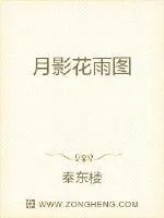《月影花雨图》封面