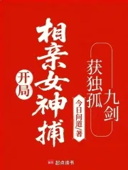 《开局相亲女神捕，获独孤九剑》小说封面