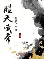 《胜天武帝》封面