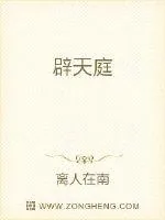 《辟天庭》封面