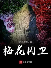 《梅花内卫》封面