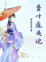 《青叶追光记》封面