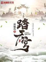 《踏天穹》封面