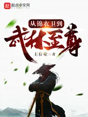 《从锦衣卫到武林至尊》封面