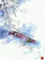 《星王争霸之御魂琴》封面