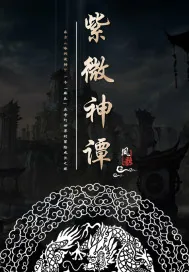 《紫微神谭》封面